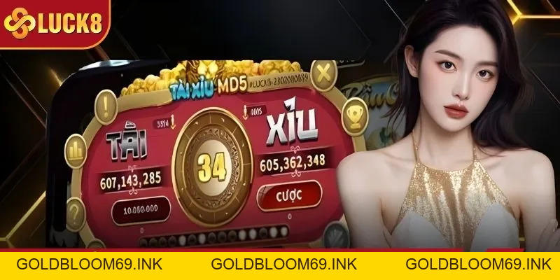 Tài Xỉu MD5 - Game Xúc Xắc Minh Bạch, An Toàn, Dễ Chơi